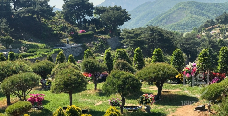 (통지) 좋은 수목원을 선택하기위한 팁